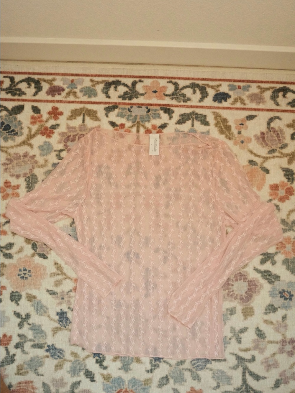 wild fable Sheer Light Pink Long-Sleeve Lace Top